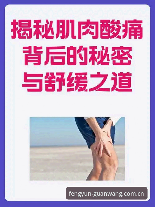 揭秘风云体育官方账号：2026新版入口背后的稳定之道与行业趋势